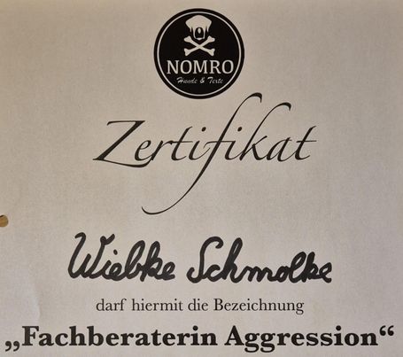 Zertifikat Fachberaterin Aggression